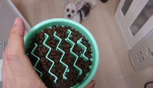 ダイソーで買った100均フリスビー