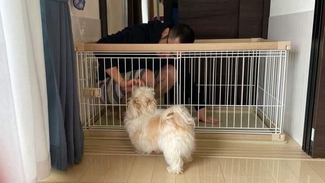 犬のケージのお掃除